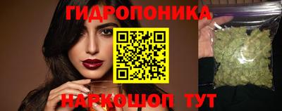 Альфа ПВП Пушкино