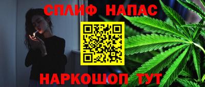 Альфа ПВП Пушкино