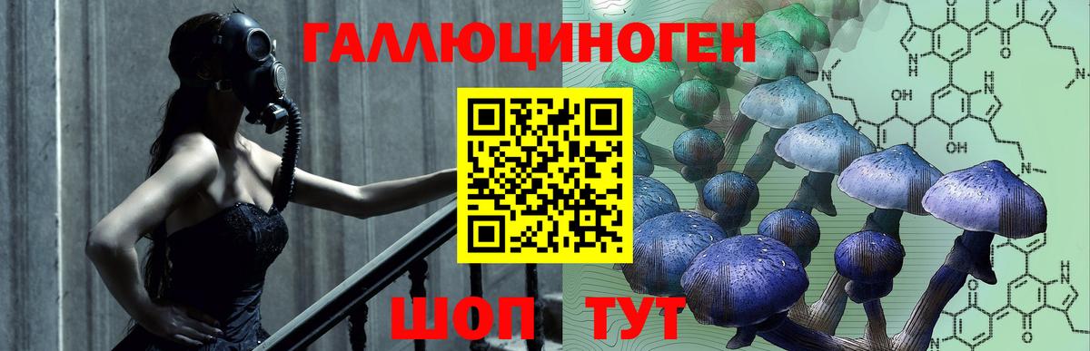 Псилоцибиновые грибы мухоморы Новоуральск