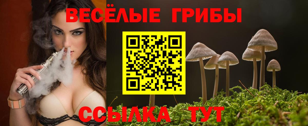 Новоуральск  Галлюциногенные грибы мицелий  Вход с VPN 